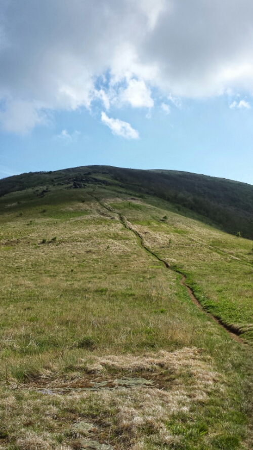 wp-1400029515117 image